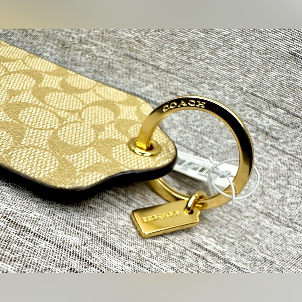 Coach NWT Rainbow Carriage Lg Hangtag Bag Charm - Luggage Tag w/ Gold Key Chain - Picture 4 of 8